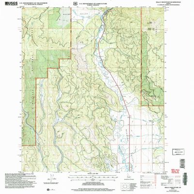 YellowMaps Bally Mountain ID topo map, 1:24000 Scale, 7.5 X 7.5 Minute, Historical, 2004, Updated 2007, 26.9 x 22 in - Polypropylene