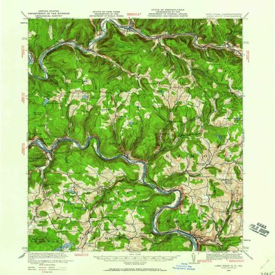 YellowMaps Long Eddy NY topo map, 1:62500 Scale, 15 X 15 Minute, Historical, 1920, 20.9 x 17 in - Polypropylene
