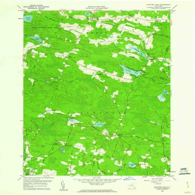 YellowMaps Panther Lake NY topo map, 1:24000 Scale, 7.5 X 7.5 Minute, Historical, 1959, Updated 1960, 26.9 x 22 in - Tyvek