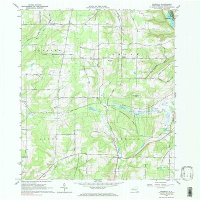 YellowMaps Birdsall NY topo map, 1:24000 Scale, 7.5 X 7.5 Minute, Historical, 1964, Updated 1984, 27 x 22.1 in - Polypropylene