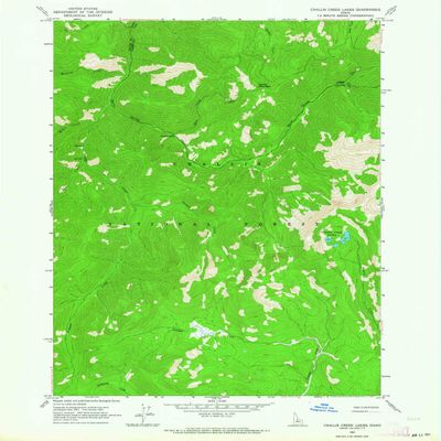 YellowMaps Challis Creek Lakes ID topo map, 1:24000 Scale, 7.5 X 7.5 Minute, Historical, 1963, Updated 1964, 26.8 x 22 in - Polypropylene