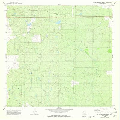 YellowMaps Blancas Creek North TX topo map, 1:24000 Scale, 7.5 X 7.5 Minute, Historical, 1980, Updated 1980, 27.3 x 23.4 in - Polypropylene