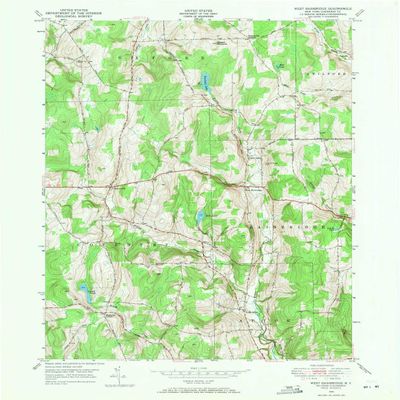 YellowMaps West Bainbridge NY topo map, 1:24000 Scale, 7.5 X 7.5 Minute, Historical, 1949, Updated 1971, 26.9 x 22 in - Tyvek