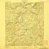 YellowMaps Angelica NY topo map, 1:62500 Scale, 15 X 15 Minute, Historical, 1906, 19.8 x 16.5 in - Tyvek view 1