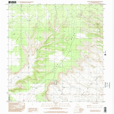 YellowMaps Cedar Mesa South UT topo map, 1:24000 Scale, 7.5 X 7.5 Minute, Historical, 1996, Updated 2002, 26.7 x 21.9 in - Polypropylene