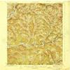 YellowMaps Andes NY topo map, 1:62500 Scale, 15 X 15 Minute, Historical, 1924, 19.9 x 16.5 in - Tyvek view 1