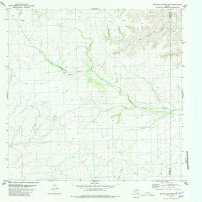 YellowMaps Meyers Canyon NE TX topo map, 1:24000 Scale, 7.5 X 7.5 Minute, Historical, 1980, Updated 1980, 27.1 x 23.2 in - Polypropylene
