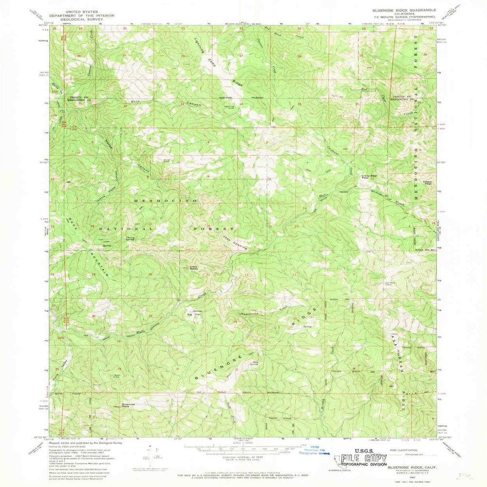 YellowMaps Bluenose Ridge CA topo map, 1:24000 Scale, 7.5 X 7.5 Minute, Historical, 1967, Updated 1969, 26.9 x 22 in - Polypropylene