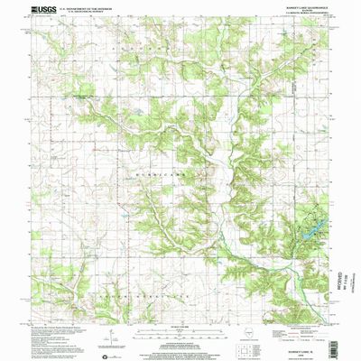 YellowMaps Ramsey Lake IL topo map, 1:24000 Scale, 7.5 X 7.5 Minute, Historical, 1998, Updated 2002, 26.8 x 21.5 in - Polypropylene