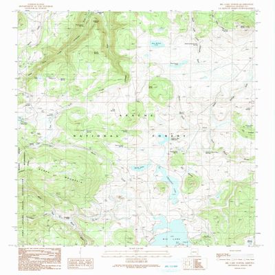 YellowMaps Big Lake North AZ topo map, 1:24000 Scale, 7.5 X 7.5 Minute, Historical, 1991, Updated 1991, 26.7 x 22 in - Tyvek
