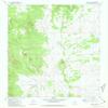 YellowMaps Bishop Lake AZ topo map, 1:24000 Scale, 7.5 X 7.5 Minute, Historical, 1981, Updated 1981, 26.8 x 22 in - Polypropylene view 1