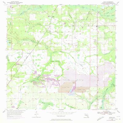 YellowMaps Lithia FL topo map, 1:24000 Scale, 7.5 X 7.5 Minute, Historical, 1955, Updated 1973, 26.8 x 23 in - Polypropylene