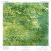 YellowMaps West of Horseshoe Head FL topo map, 1:24000 Scale, 7.5 X 7.5 Minute, Historical, 1974, Updated 1993, 26.9 x 23 in - Polypropylene view 1