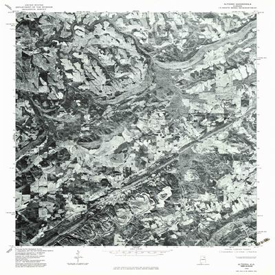 YellowMaps Altoona AL topo map, 1:24000 Scale, 7.5 X 7.5 Minute, Historical, 1975, Updated 1983, 26.8 x 21.6 in - Polypropylene