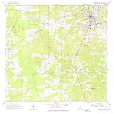 YellowMaps Hazlehurst MS topo map, 1:24000 Scale, 7.5 X 7.5 Minute, Historical, 1963, Updated 1978, 26.8 x 22 in - Tyvek