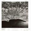 YellowMaps Goleta CA topo map, 1:24000 Scale, 7.5 X 7.5 Minute, Historical, 1976, Updated 1978, 26.9 x 22 in - Tyvek view 1