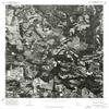 YellowMaps Mount Meigs NW AL topo map, 1:24000 Scale, 7.5 X 7.5 Minute, Historical, 1975, Updated 1977, 26.7 x 21.6 in - Polypropylene view 1