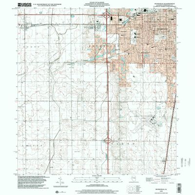 YellowMaps Bondville IL topo map, 1:24000 Scale, 7.5 X 7.5 Minute, Historical, 1998, Updated 2001, 26.8 x 21.5 in - Polypropylene
