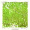 YellowMaps Birch Tree MO topo map, 1:62500 Scale, 15 X 15 Minute, Historical, 1944, Updated 1962, 20.8 x 16.9 in - Polypropylene view 1