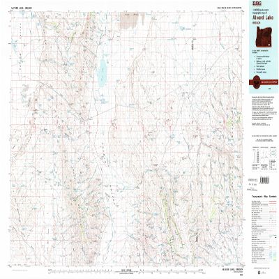 YellowMaps Alvord Lake OR topo map, 1:100000 Scale, 30 X 60 Minute, Historical, 1982, Updated 1995, 24.1 x 39.2 in - Polypropylene