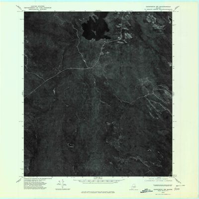 YellowMaps Danforth SW ME topo map, 1:24000 Scale, 7.5 X 7.5 Minute, Historical, 1975, Updated 1980, 27.5 x 21.5 in - Polypropylene