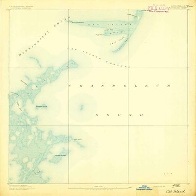 YellowMaps Cat Island MS topo map, 1:62500 Scale, 15 X 15 Minute, Historical, 1893, 19.7 x 16.7 in - Polypropylene