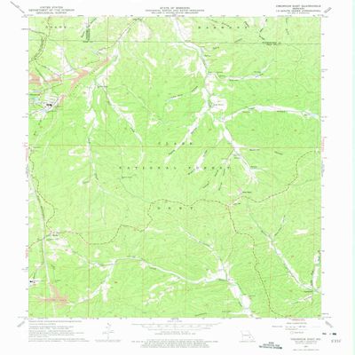 YellowMaps Viburnum East MO topo map, 1:24000 Scale, 7.5 X 7.5 Minute, Historical, 1967, Updated 1975, 26.9 x 22 in - Polypropylene