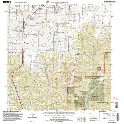 Selmore MO topo map, 1:24000 Scale, 7.5 X 7.5 Minute, Historical, 2004, Updated 2006, 26.8 x 22 in - Polypropylene