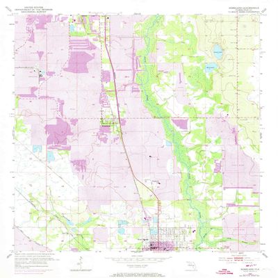 YellowMaps Homeland FL topo map, 1:24000 Scale, 7.5 X 7.5 Minute, Historical, 1952, Updated 1973, 26.8 x 22.9 in - Polypropylene