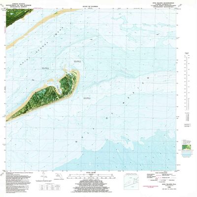 YellowMaps Dog Island FL topo map, 1:24000 Scale, 7.5 X 7.5 Minute, Historical, 1982, Updated 1982, 27.7 x 23 in - Polypropylene