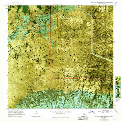 YellowMaps Royal Palm Ranger Station SE FL topo map, 1:24000 Scale, 7.5 X 7.5 Minute, Historical, 1967, Updated 1967, 26.9 x 24 in - Tyvek