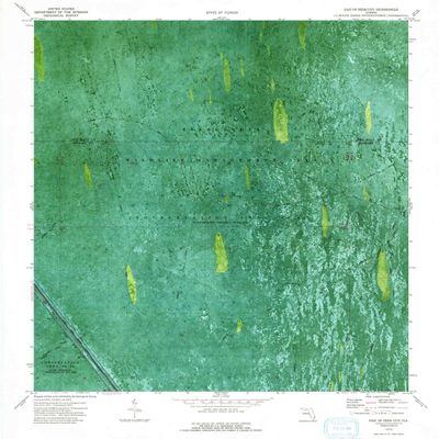 YellowMaps East of Deem City FL topo map, 1:24000 Scale, 7.5 X 7.5 Minute, Historical, 1973, Updated 1993, 26.9 x 24 in - Tyvek