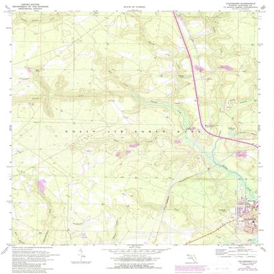 YellowMaps Valparaiso FL topo map, 1:24000 Scale, 7.5 X 7.5 Minute, Historical, 1970, Updated 1987, 26.8 x 21.9 in - Tyvek
