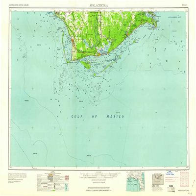 YellowMaps Apalachicola FL topo map, 1:250000 Scale, 1 X 2 Degree, Historical, 1960, Updated 1960, 22.1 x 34.1 in - Paper