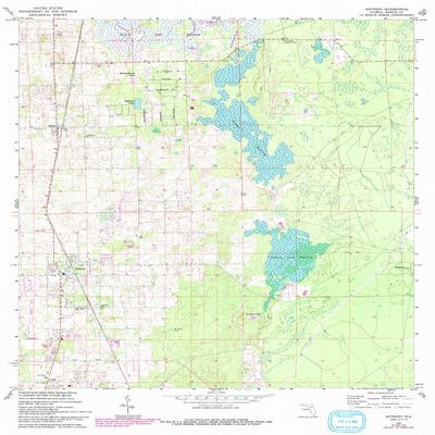 YellowMaps Anthony FL topo map, 1:24000 Scale, 7.5 X 7.5 Minute, Historical, 1967, Updated 1993, 26.9 x 21.9 in - Polypropylene