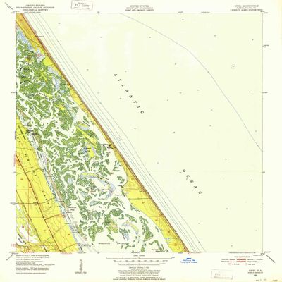 YellowMaps Ariel FL topo map, 1:24000 Scale, 7.5 X 7.5 Minute, Historical, 1950, Updated 1952, 26.8 x 22.9 in - Tyvek