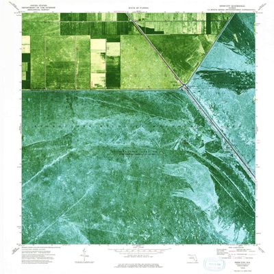 YellowMaps Deem City FL topo map, 1:24000 Scale, 7.5 X 7.5 Minute, Historical, 1974, Updated 1993, 26.9 x 24 in - Tyvek