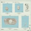 YellowMaps Commonwealth of The Northern Mariana Islands Sheet 3 of 3 MP topo map, 1:25000 Scale, None, Historical, 2006, Updated 2006, 30.68 x 36.39 in - Polypropylene view 1