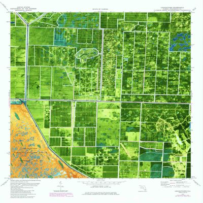 YellowMaps Loxahatchee FL topo map, 1:24000 Scale, 7.5 X 7.5 Minute, Historical, 1979, Updated 1984, 27.8 x 23 in - Polypropylene