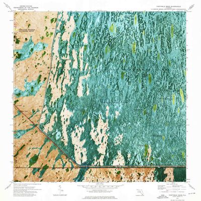 YellowMaps Fortymile Bend FL topo map, 1:24000 Scale, 7.5 X 7.5 Minute, Historical, 1973, Updated 1975, 26.8 x 24 in - Polypropylene
