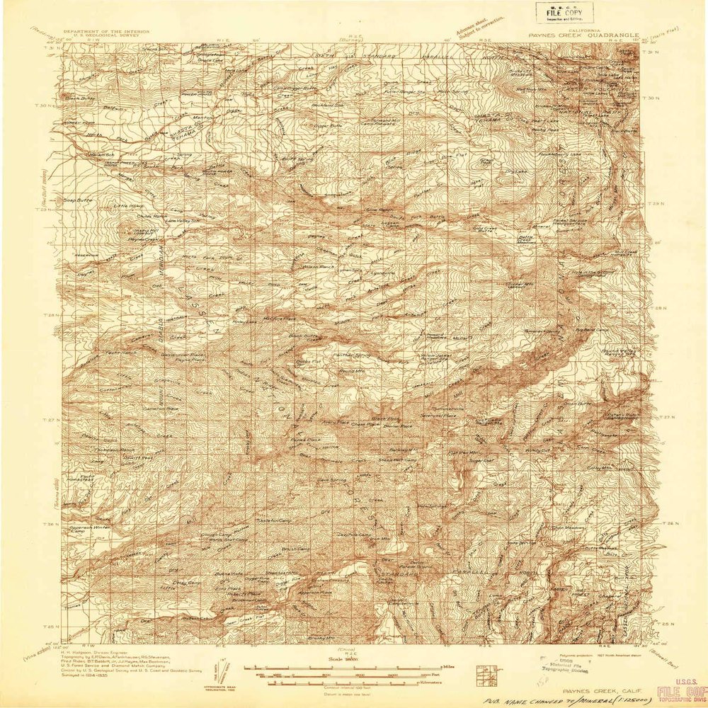 YellowMaps Paynes Creek CA topo map, 1:96000 Scale, 30 X 30 Minute, Historical, 1935, 26.8 x 21.4 in - Polypropylene