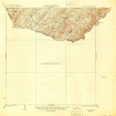 Mc Dowell VA topo map, 1:62500 Scale, 15 X 15 Minute, Historical, 1924, Updated 1944, 21 x 17.9 in - Polypropylene