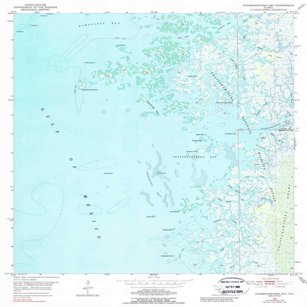 YellowMaps Chassahowitzka Bay FL topo map, 1:24000 Scale, 7.5 X 7.5 Minute, Historical, 1954, Updated 1988, 26.8 x 22 in - Polypropylene