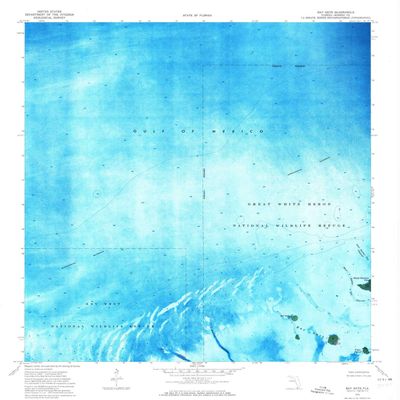 YellowMaps Bay Keys FL topo map, 1:24000 Scale, 7.5 X 7.5 Minute, Historical, 1972, Updated 1973, 26.8 x 24 in - Tyvek