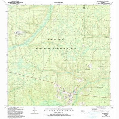 YellowMaps Hosford FL topo map, 1:24000 Scale, 7.5 X 7.5 Minute, Historical, 1990, Updated 1990, 26.8 x 22.9 in - Polypropylene