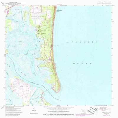 YellowMaps Amelia City FL topo map, 1:24000 Scale, 7.5 X 7.5 Minute, Historical, 1958, Updated 1988, 26.9 x 22 in - Tyvek