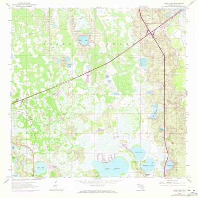 YellowMaps Gum Lake FL topo map, 1:24000 Scale, 7.5 X 7.5 Minute, Historical, 1959, Updated 1972, 26.7 x 22.9 in - Polypropylene