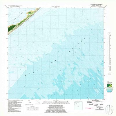 YellowMaps Sugar Hill FL topo map, 1:24000 Scale, 7.5 X 7.5 Minute, Historical, 1981, Updated 1982, 29 x 24.1 in - Polypropylene
