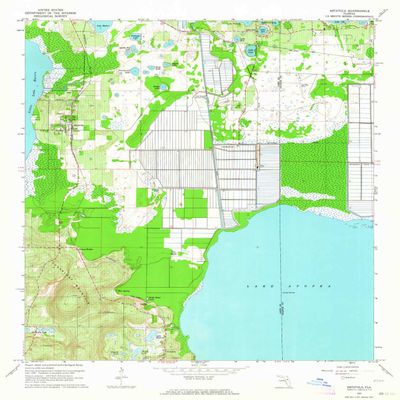 YellowMaps Astatula FL topo map, 1:24000 Scale, 7.5 X 7.5 Minute, Historical, 1962, Updated 1964, 26.8 x 23 in - Polypropylene