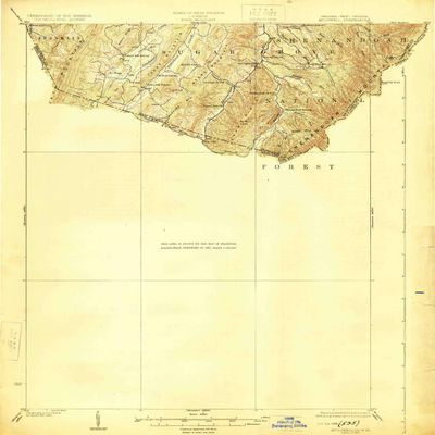 Mc Dowell VA topo map, 1:62500 Scale, 15 X 15 Minute, Historical, 1924, 19.7 x 17.4 in - Tyvek